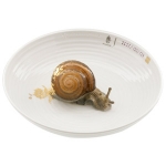 Bowl with Snail
