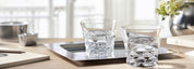 Everyday Swing Tumblers, S/2