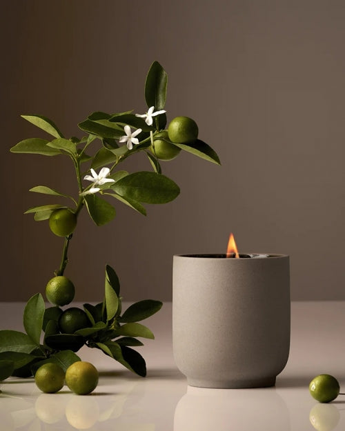 Neroli Leaf Candle