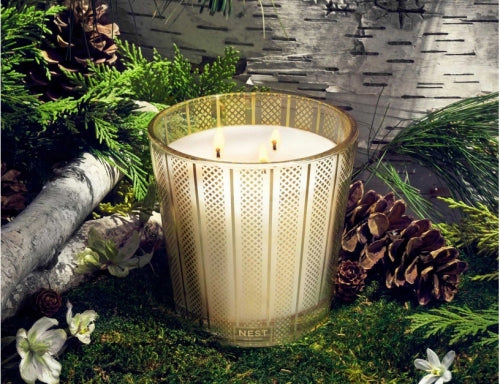 Birchwood Pine 3-Wick Candle