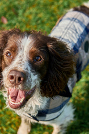 Tartan Dog Coat - Classic