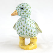 Duckling In Boots - Key Lime