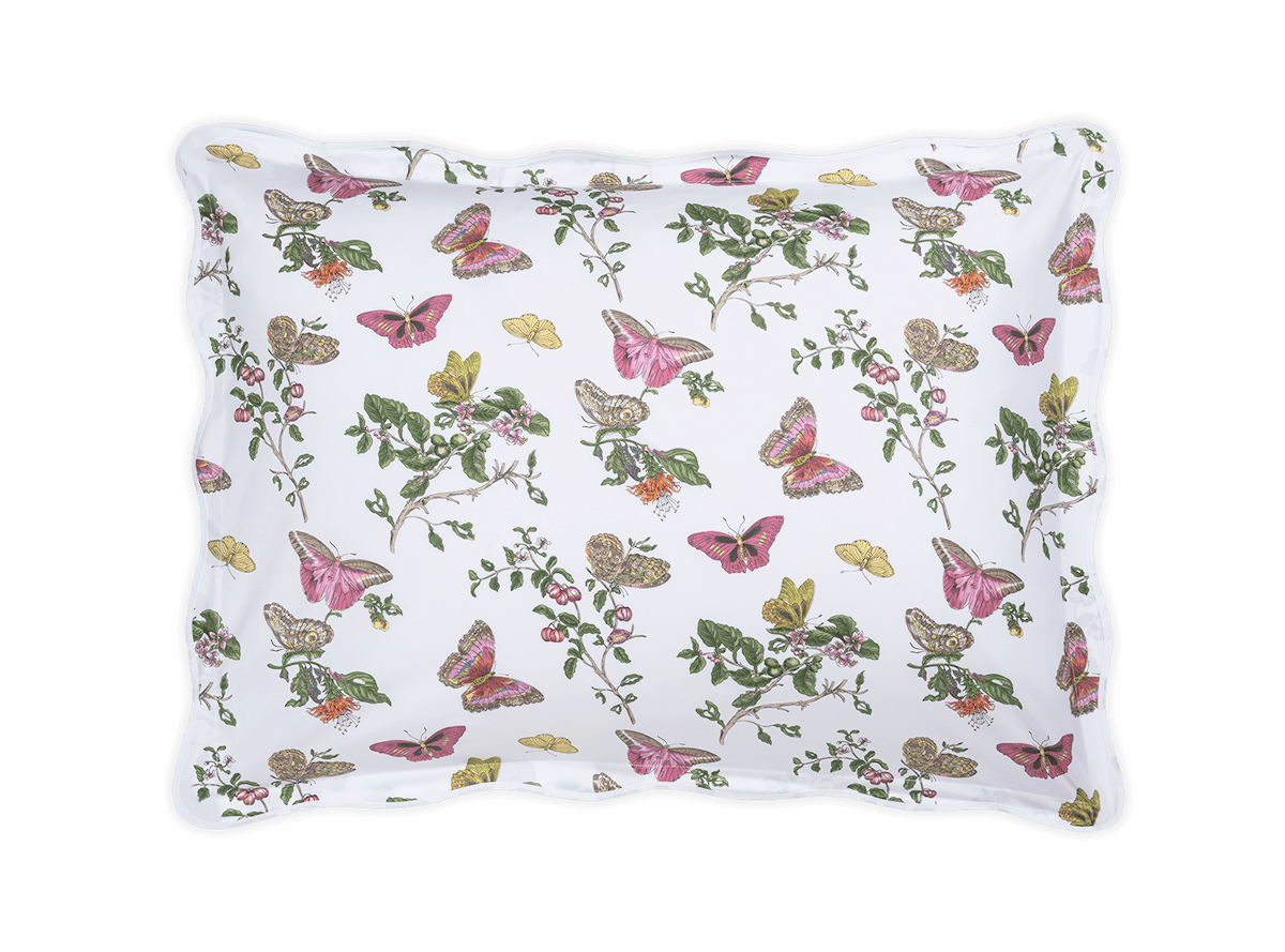Baudin Butterfly Standard Sham - Pink