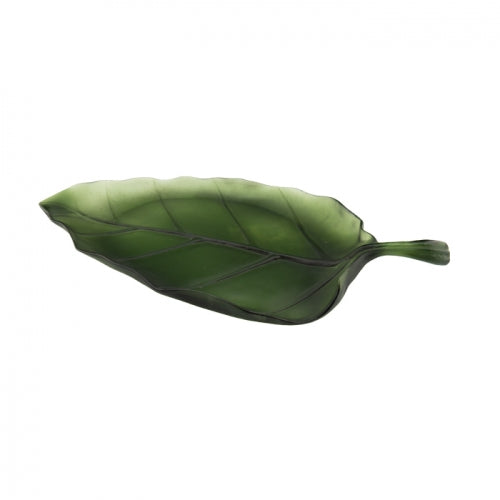 Large Green Leaf