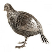 Sterling Quail