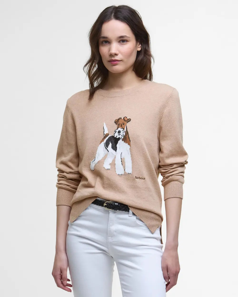 Fareham Crew Neck Sweater - Pale Camel