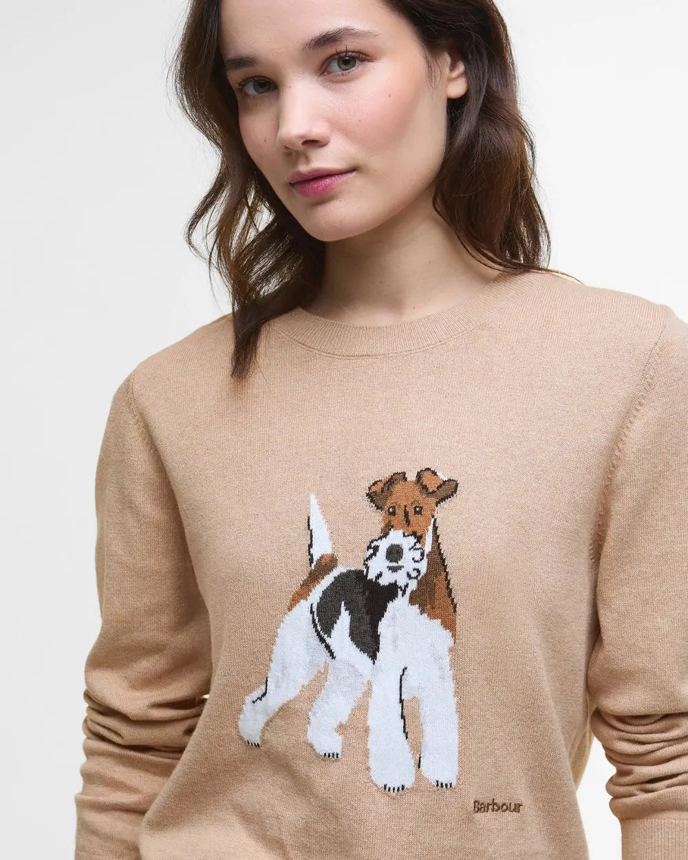 Fareham Crew Neck Sweater - Pale Camel