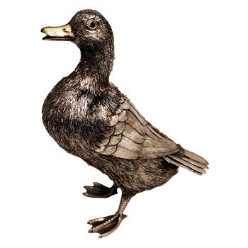 Silver Duck