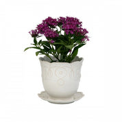 Jardins Du Monde Planter 7" - Whitewash