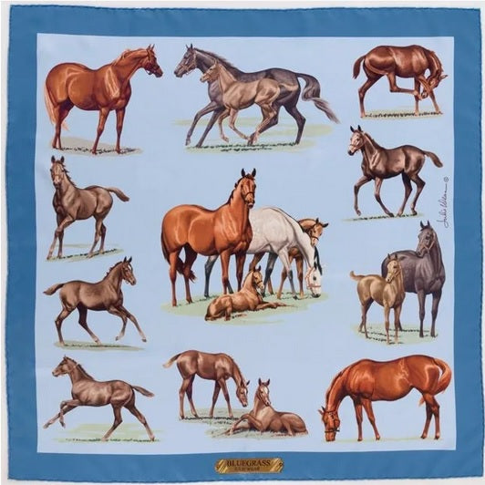 Bluegrass Scarf - Blue