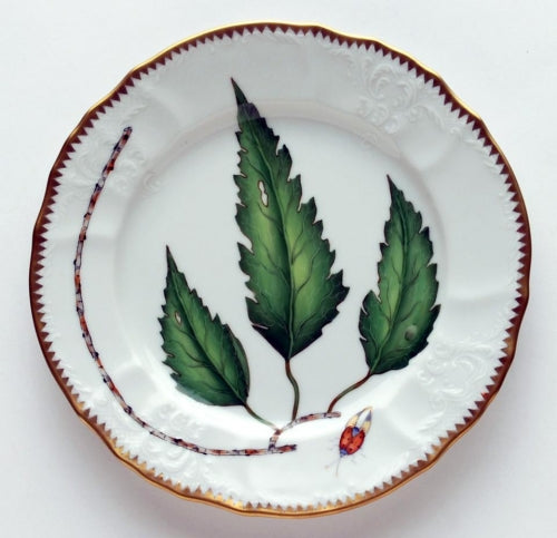 Green Leaf Salad Plate