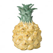 Pineapple Box