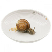 Bowl with Snail