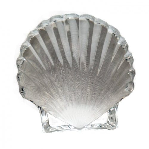 Scallop