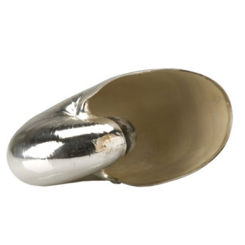 Nautilus Pompilius Sterling Shell