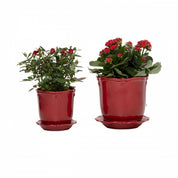 Planter BT Ruby 525 w/ Saucer