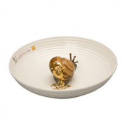 Bowl with Snail