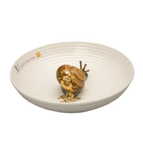 Bowl with Snail