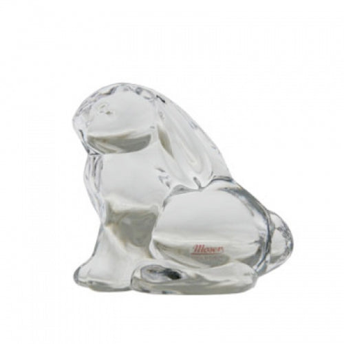 Clear Bunny