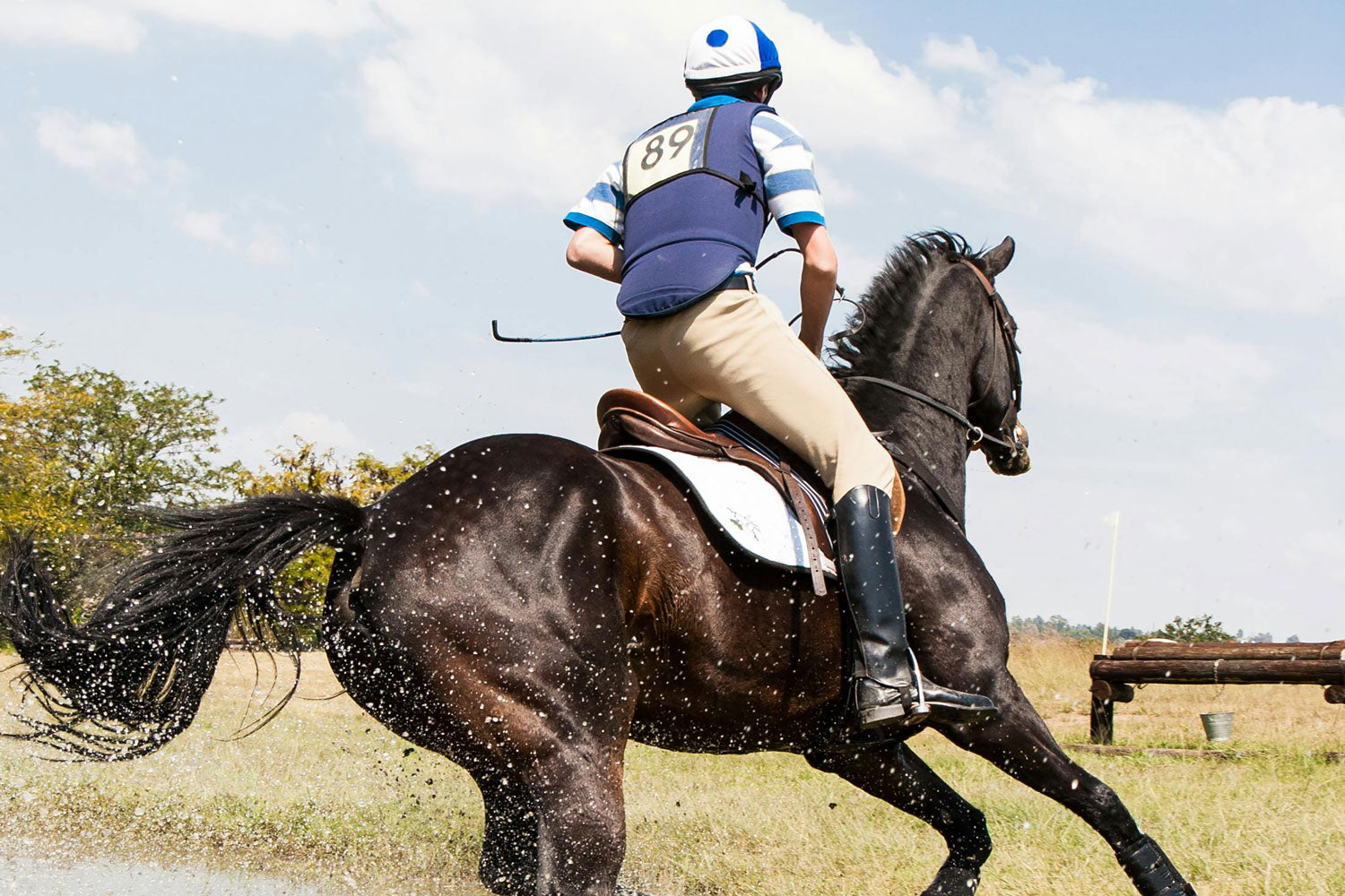 A Jockey Riding An Elegant Horse On Cup Day