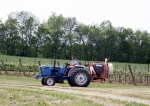 Kathy Edwards tending to the grapes.