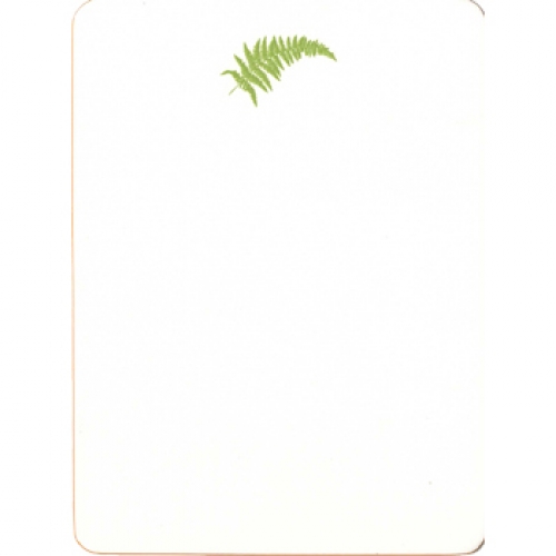 Apple Green Fern on Bone Envelope Lining Notecards