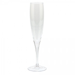Optic Champagne Glass 
