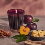 Autumn Plum Classic Candle