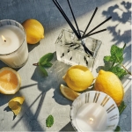 Amalfi Lemon & Mint Reed Diffuser