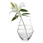 Amalia Clear Vase 6