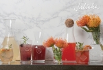 Berry & Thread Highball/Iced Beverage Glass